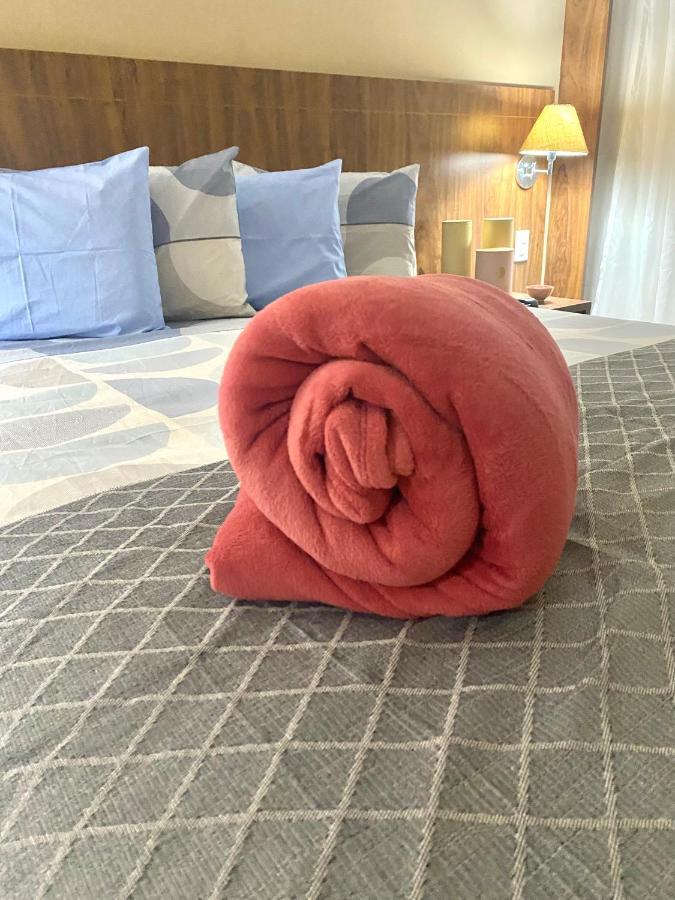 Apartamento Flat Encantador Com Piscina E Area De Lazer *